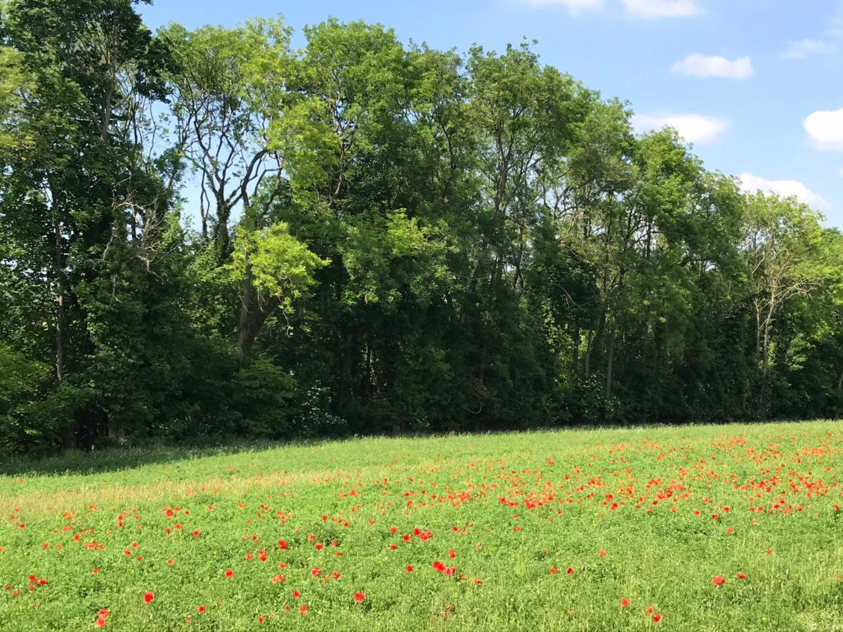 Chambre D'Hotes "Coquelicot" Nurlu Eksteriør bilde